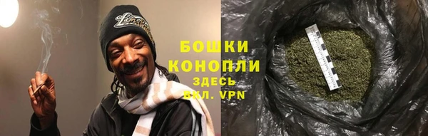ешки Аркадак