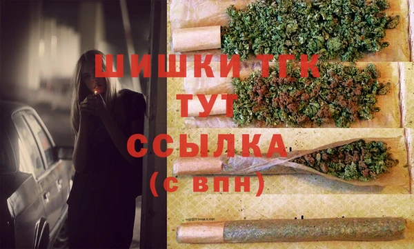 ешки Аркадак