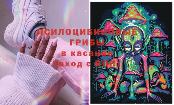 ешки Аркадак